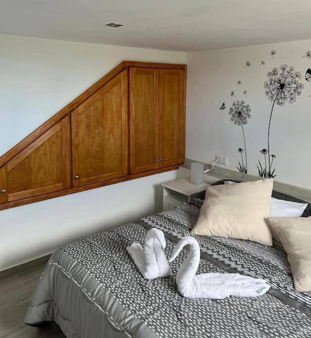 La Casita De La Pared Daire Santa Cruz de Tenerife Dış mekan fotoğraf