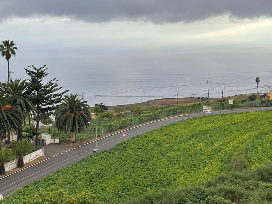 La Casita De La Pared Daire Santa Cruz de Tenerife Dış mekan fotoğraf